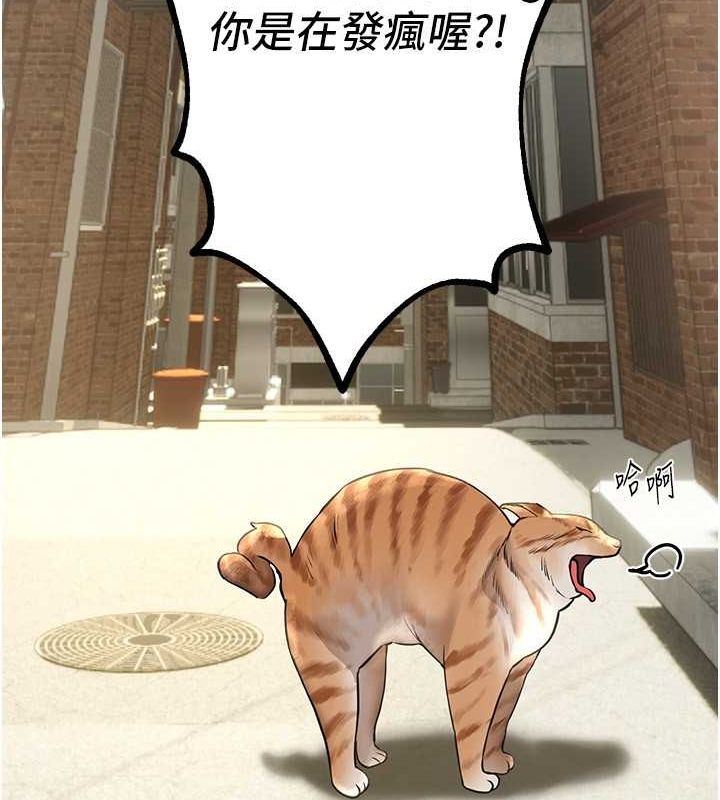 82.jpg