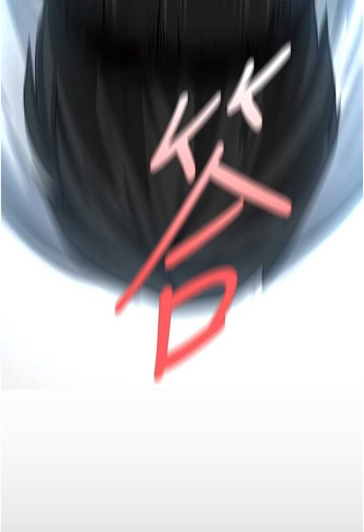 第233話-向淑英襲來的危機