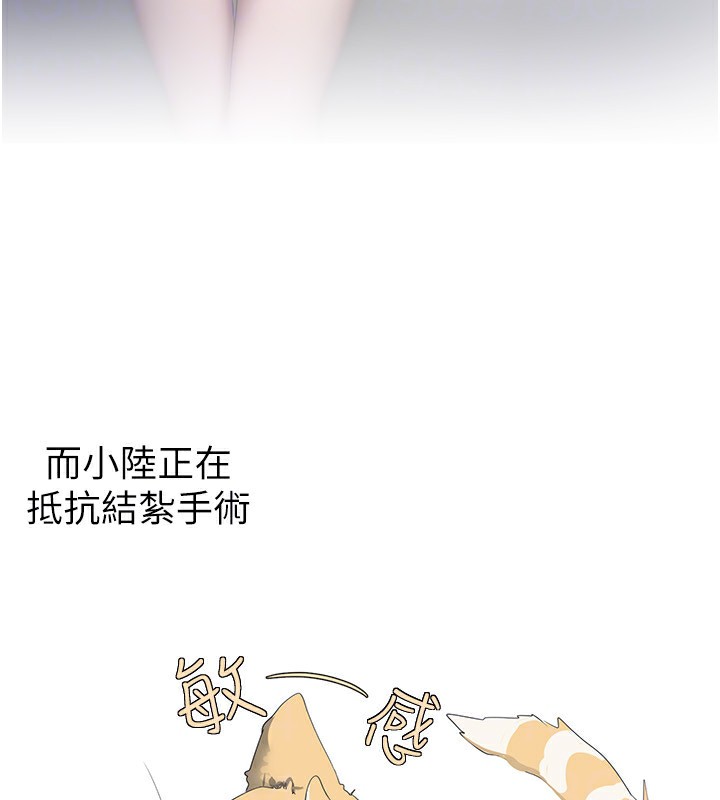 最終話-美麗新世界