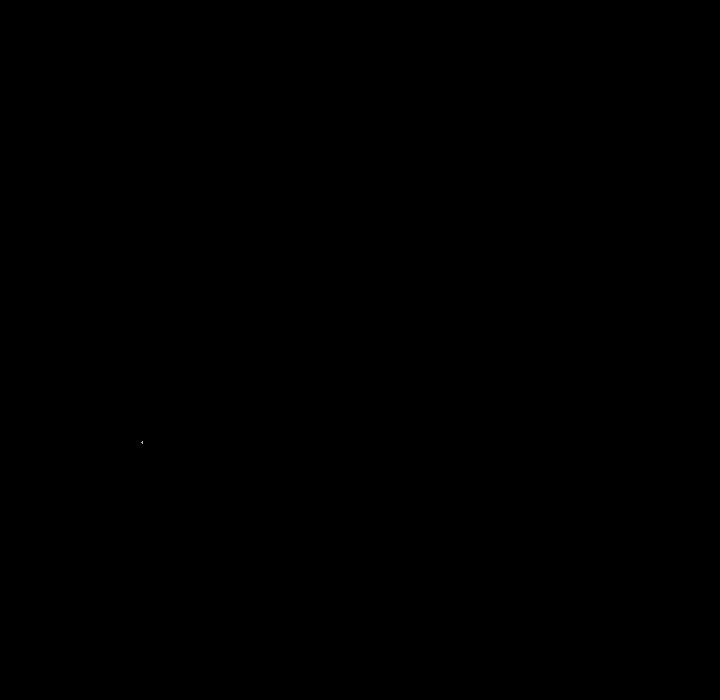 146.jpg
