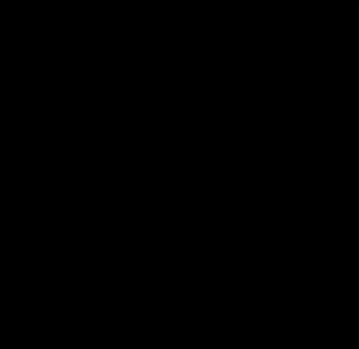 178.jpg