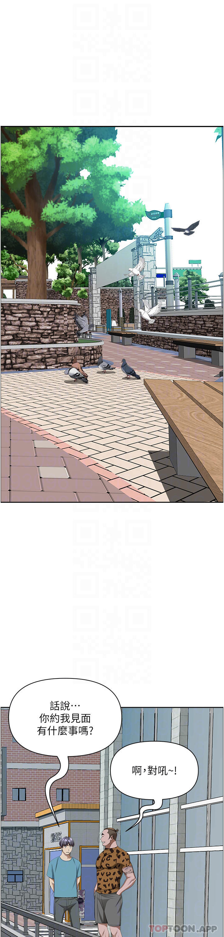21.jpg