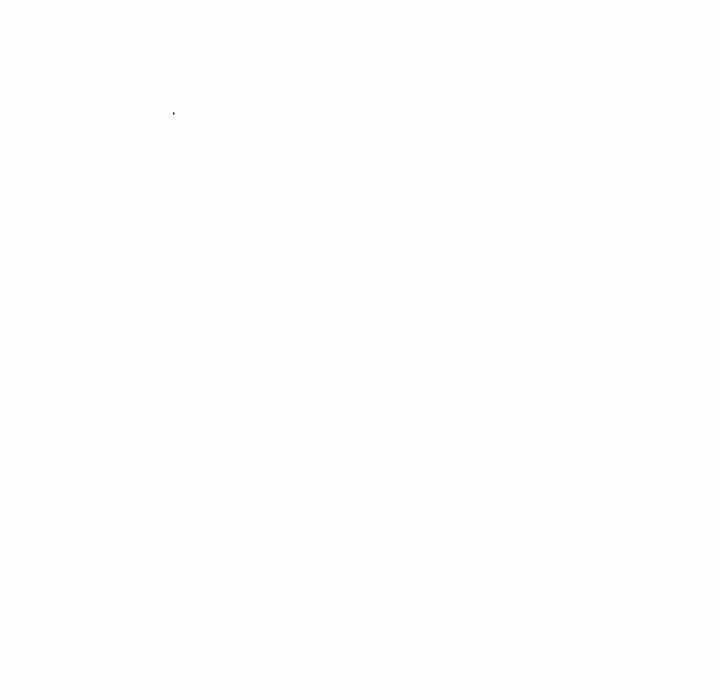 81.jpg