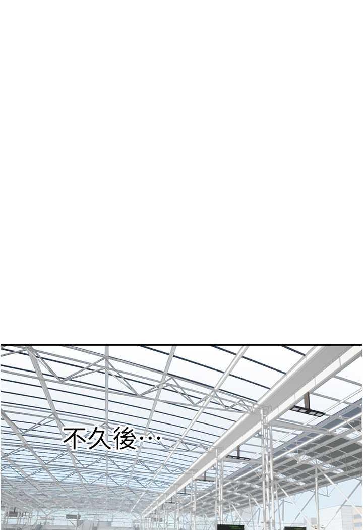 137.jpg