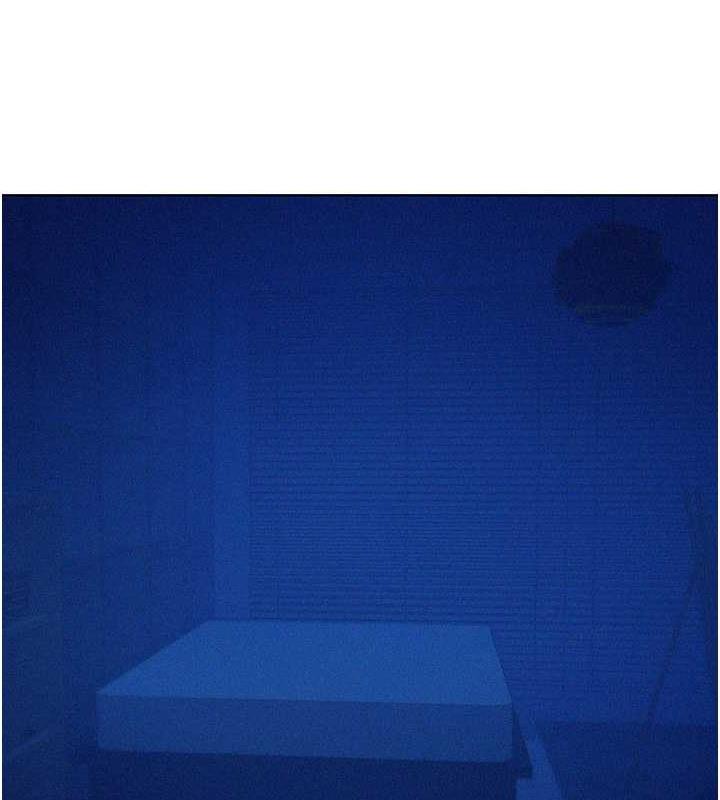 151.jpg