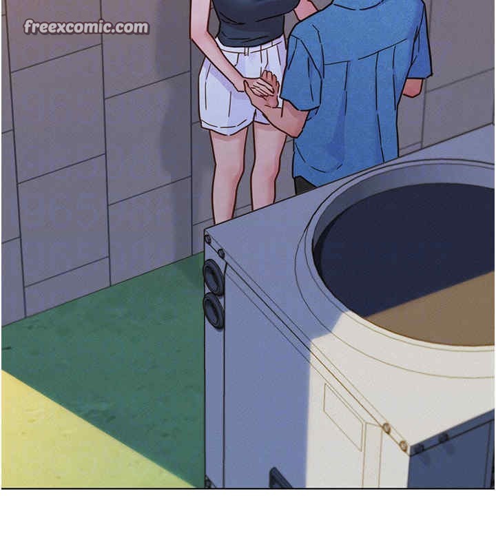 137.jpg