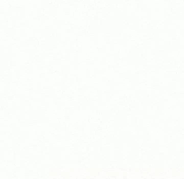 92.jpg