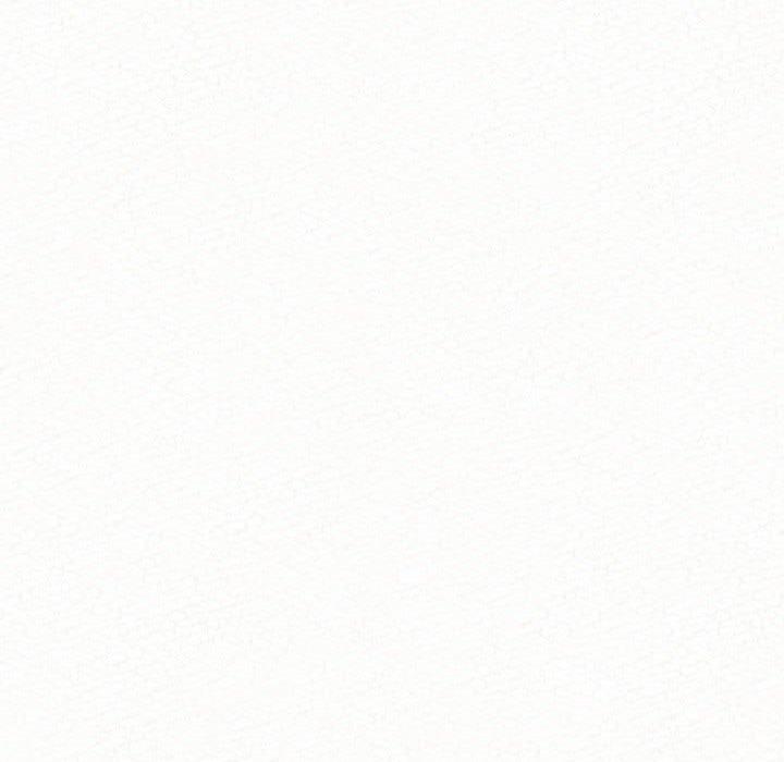 224.jpg