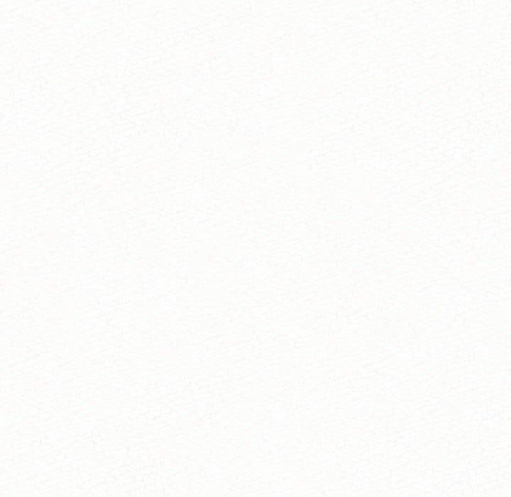 231.jpg