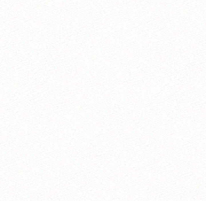 233.jpg