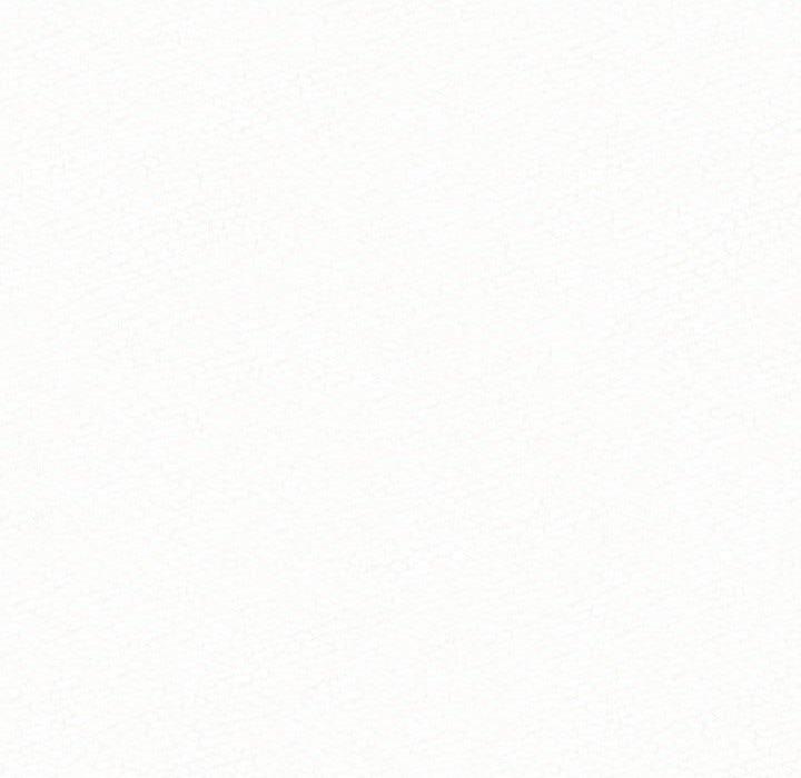 243.jpg