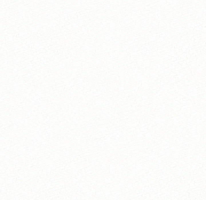262.jpg
