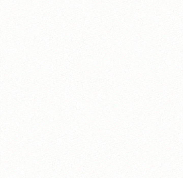 246.jpg