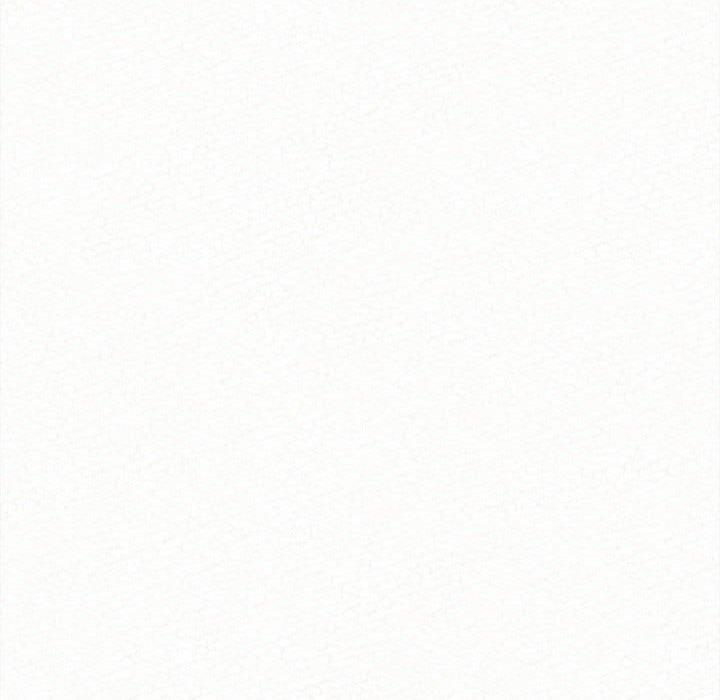 251.jpg