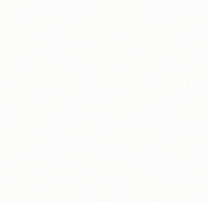 254.jpg