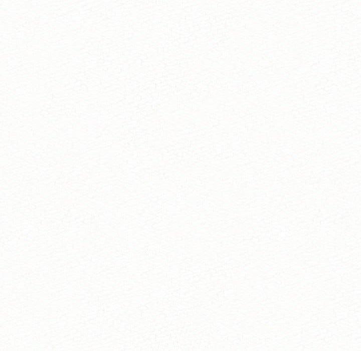 261.jpg