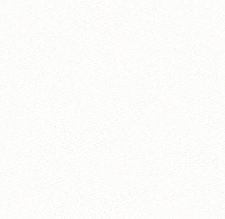 262.jpg