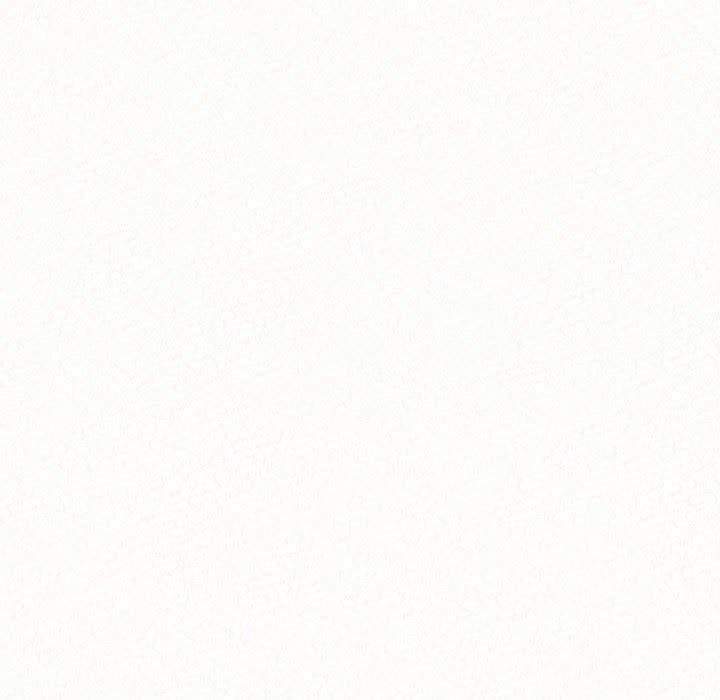 95.jpg