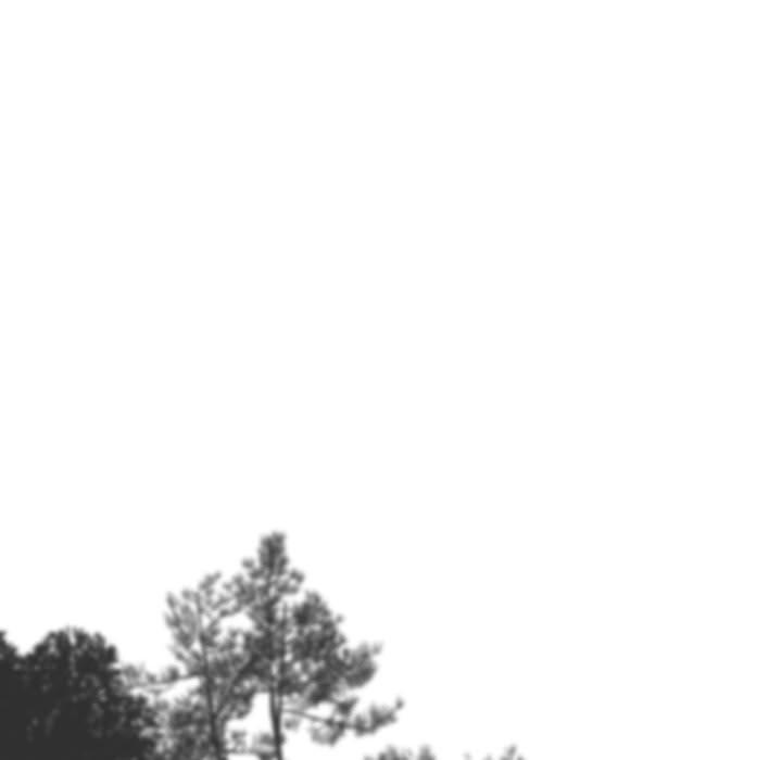 157.jpg