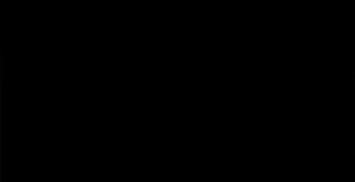164.jpg