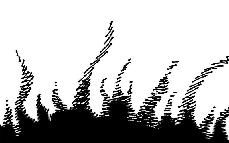 278.jpg
