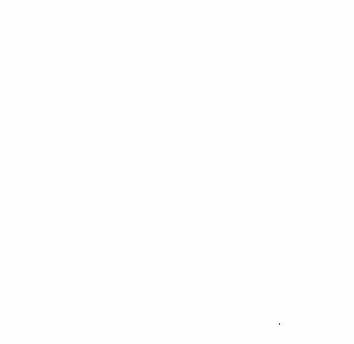 127.jpg