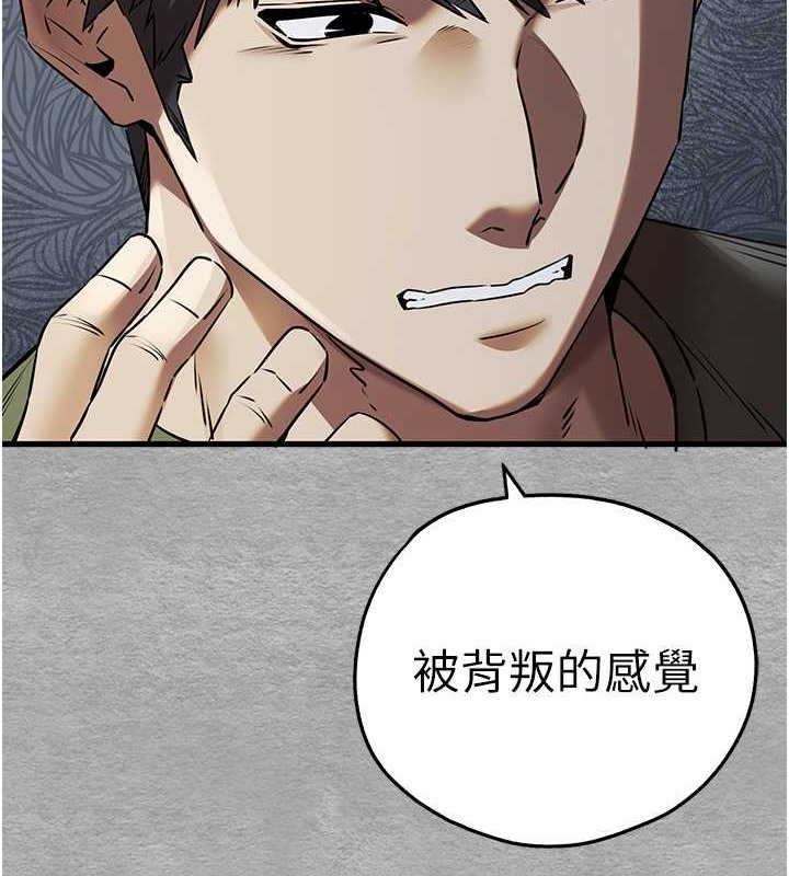 195.jpg