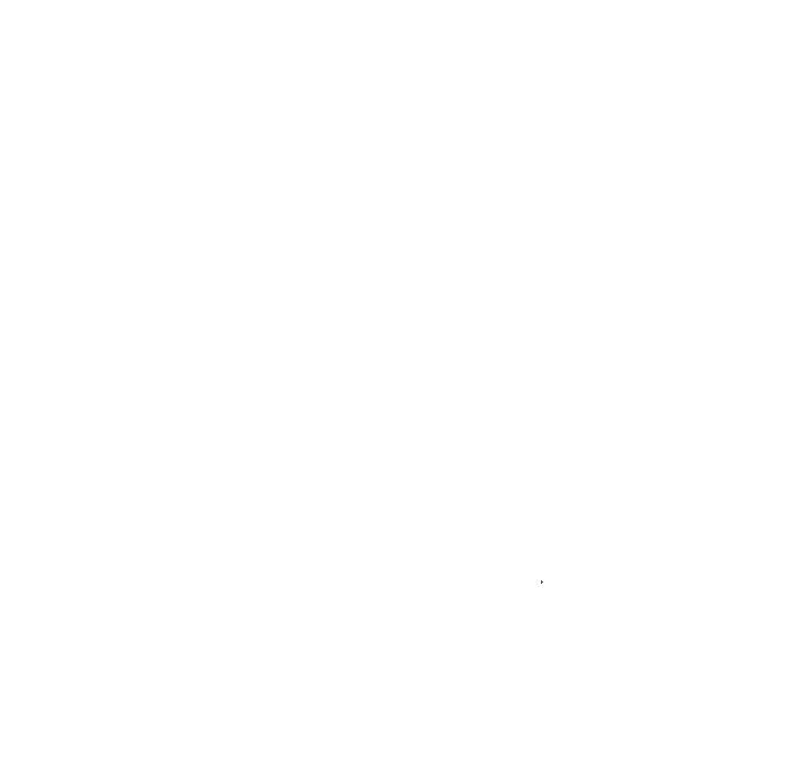 113.jpg