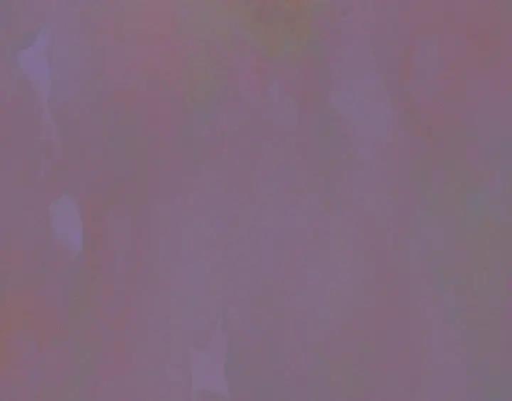201.jpg