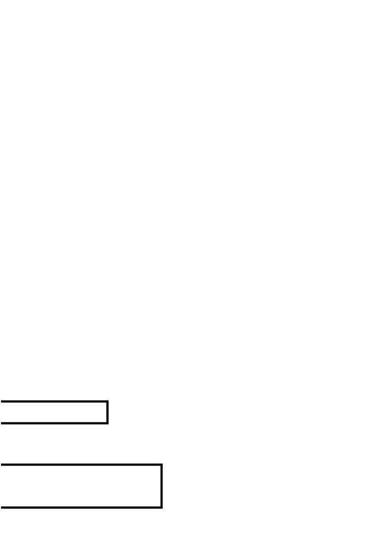 117.jpg