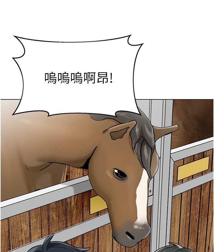 81.jpg