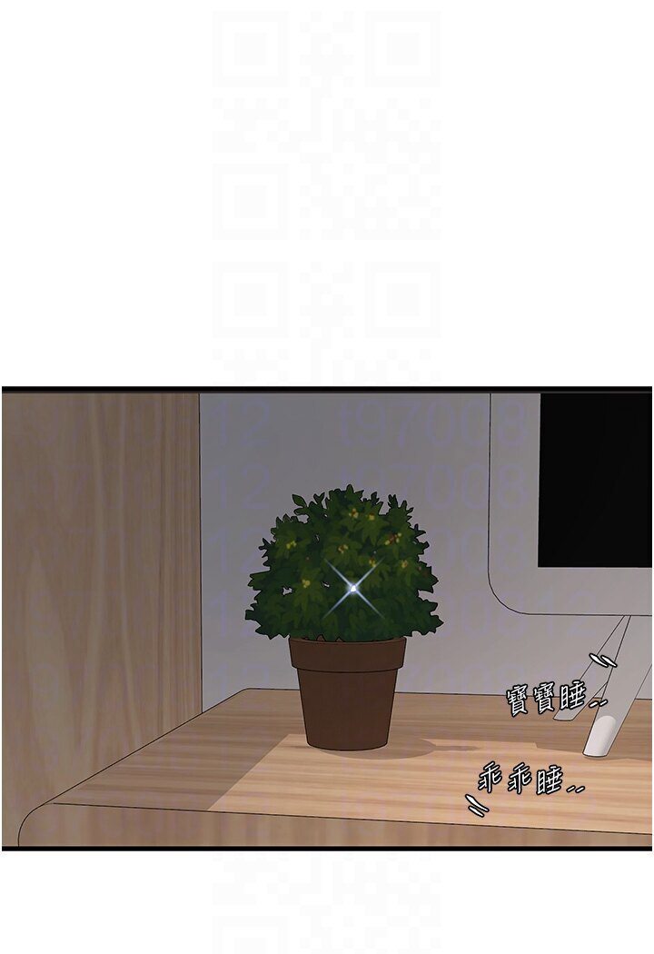 87.jpg