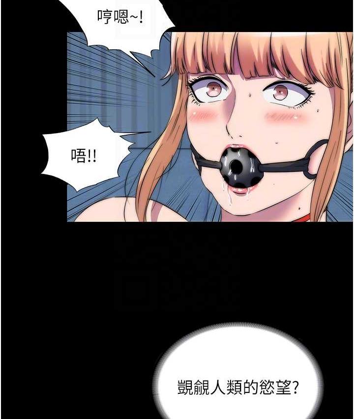 104.jpg