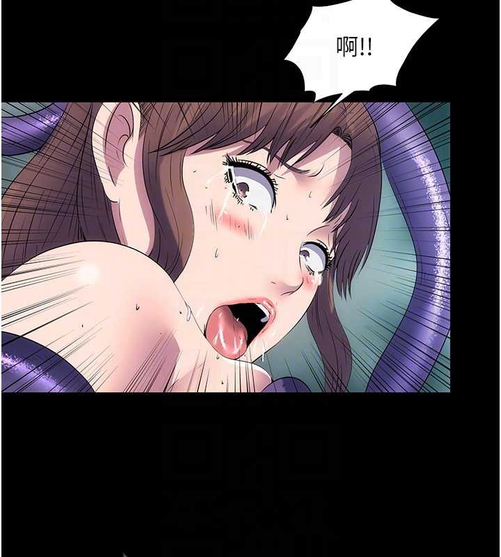 78.jpg