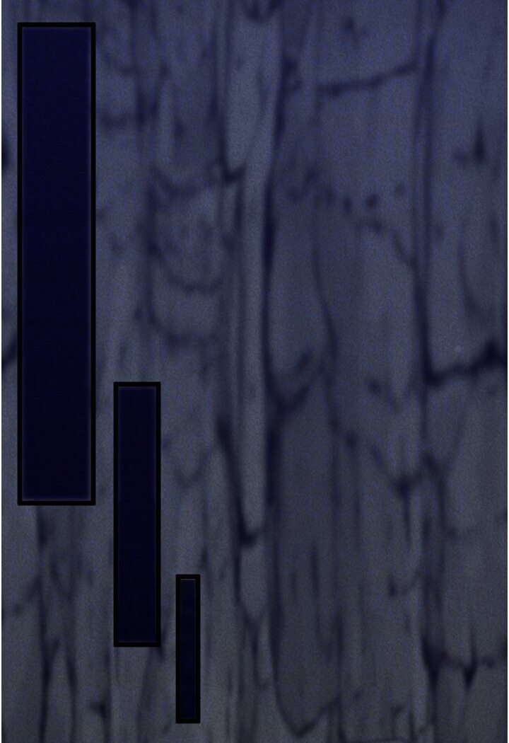 114.jpg