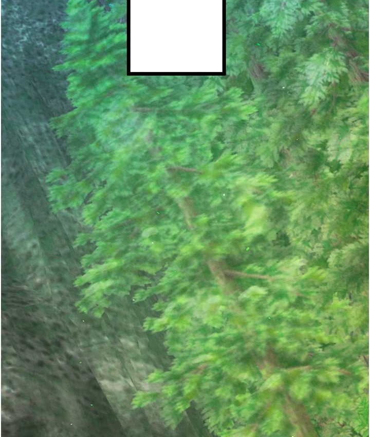 148.jpg