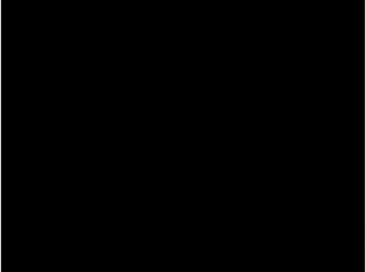 110.jpg