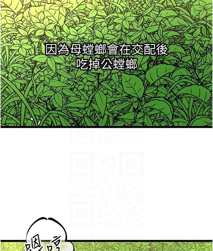 147.jpg