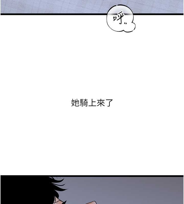 163.jpg