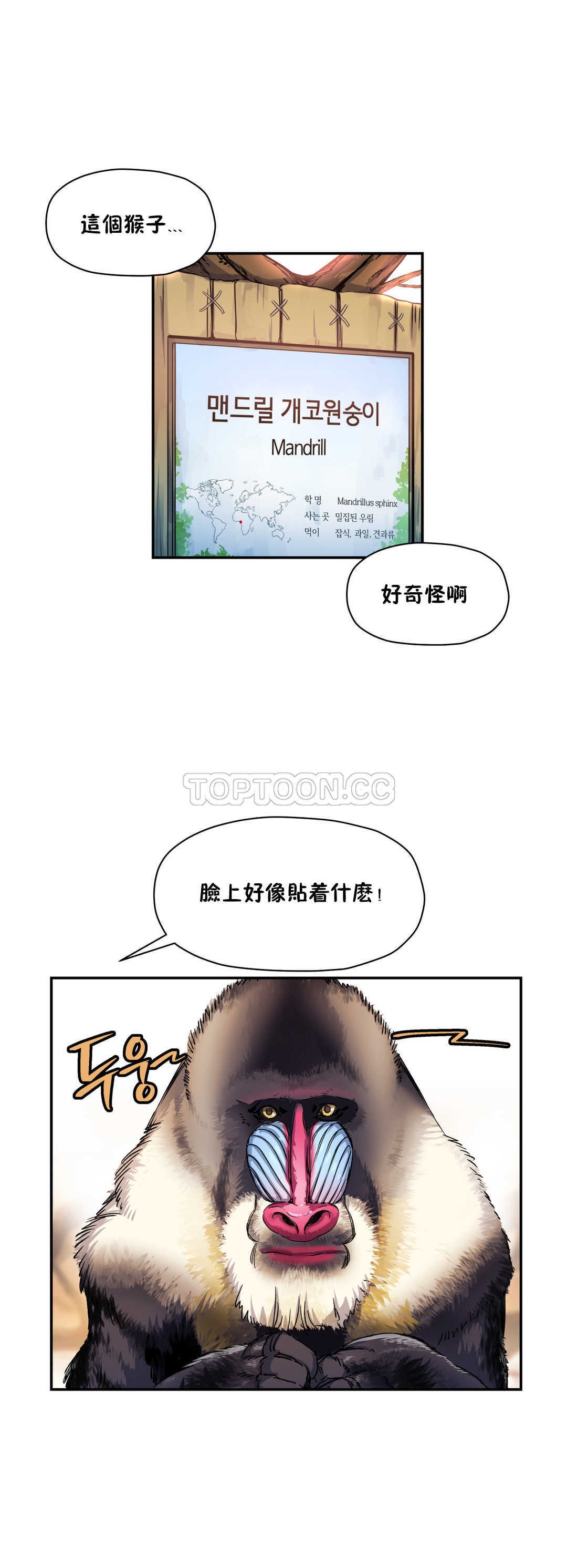 40.jpg