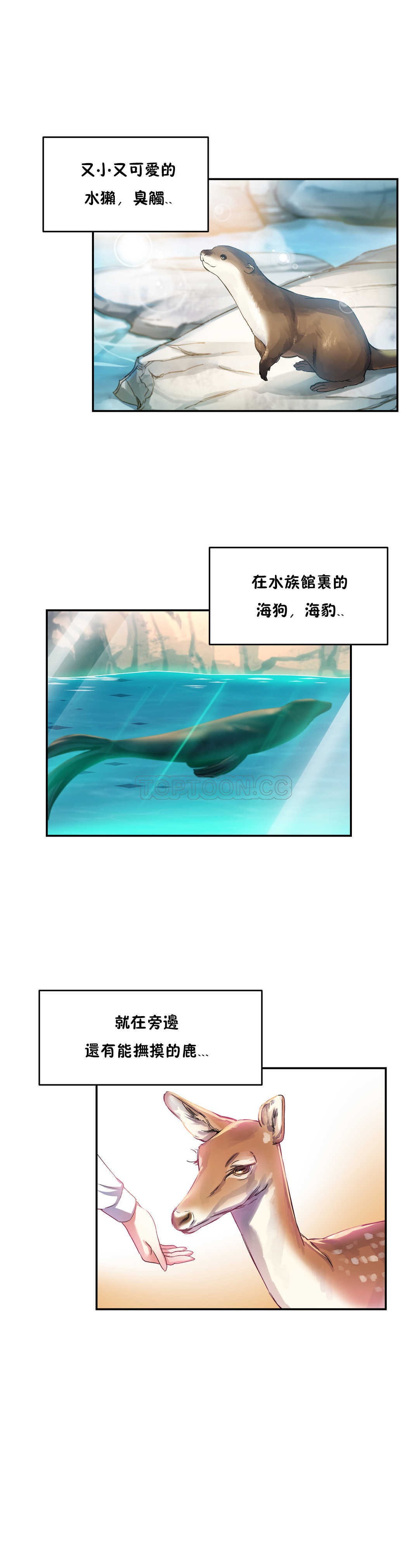 52.jpg