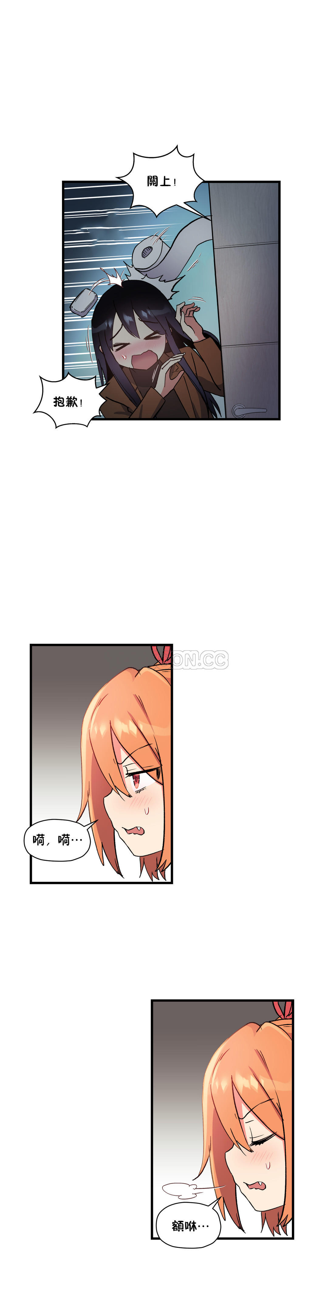 41.jpg