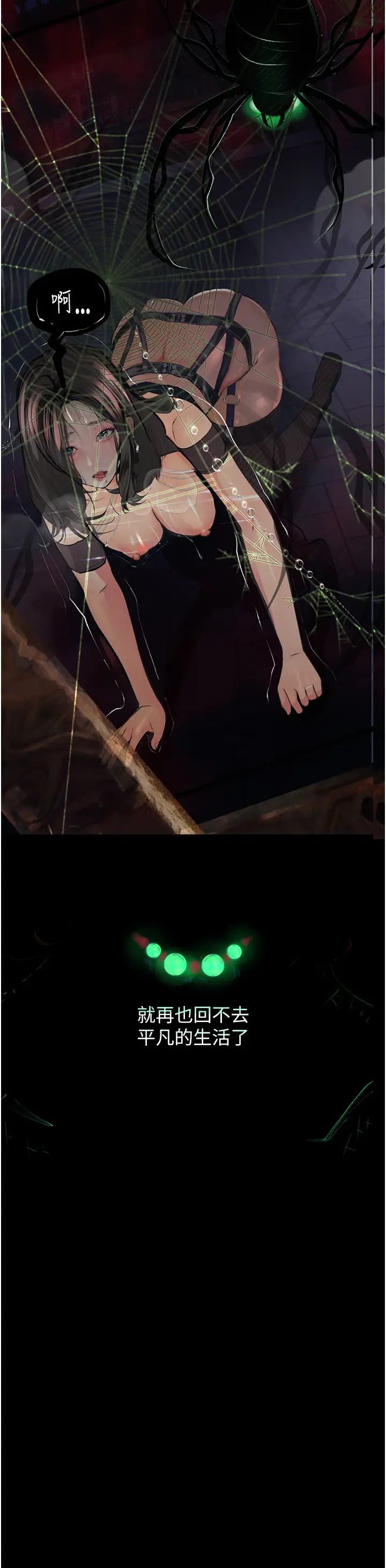 62.jpg