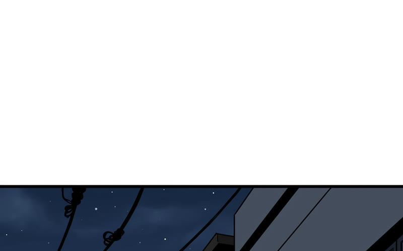 264.jpg