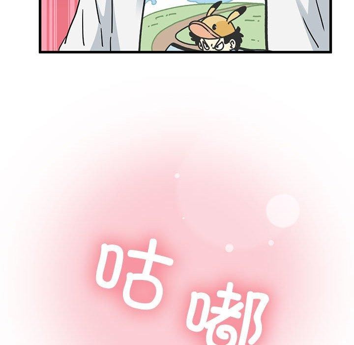213.jpg