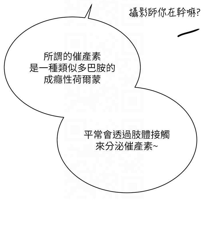 91.jpg