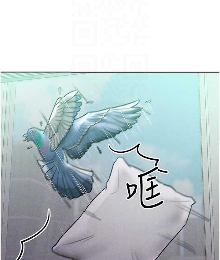 146.jpg