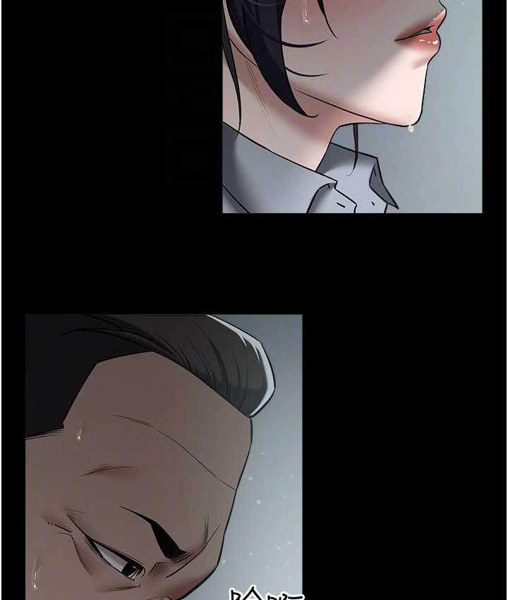 81.jpg