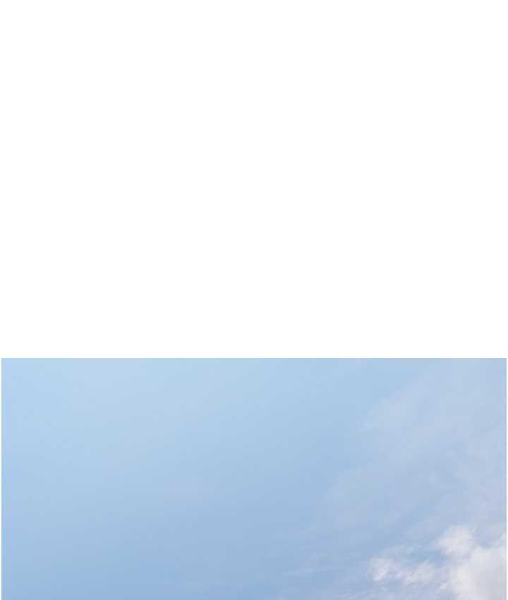 74.jpg