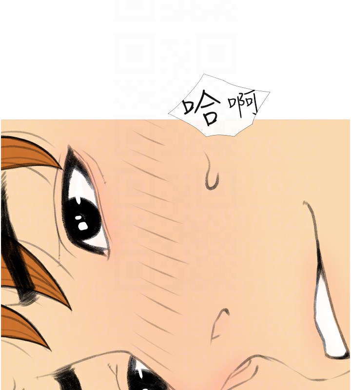 141.jpg